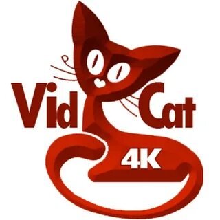 This Vids Cat