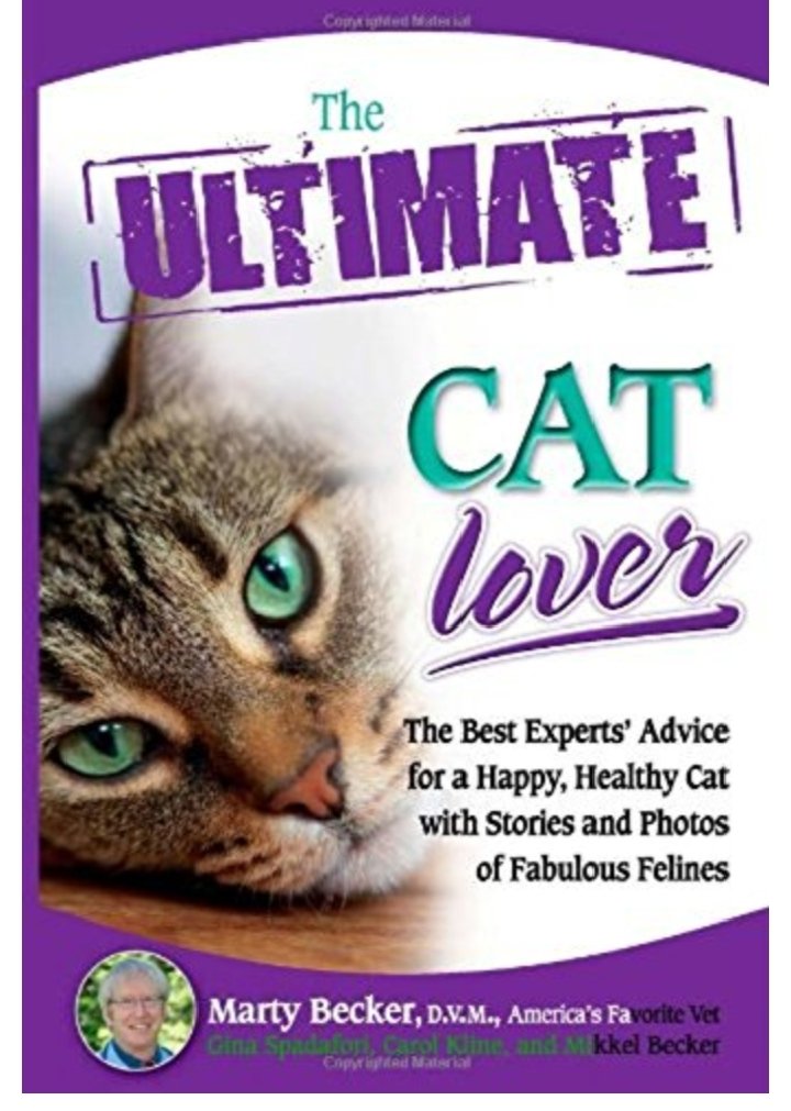 Kitty Cats